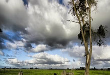 津媒分析，泰山队下季生存定位成谜，亚冠前景波折重重