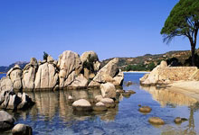 广州XX队官方声明,积极寻求一线队及梯队冠名权,助力足球事业再攀高峰